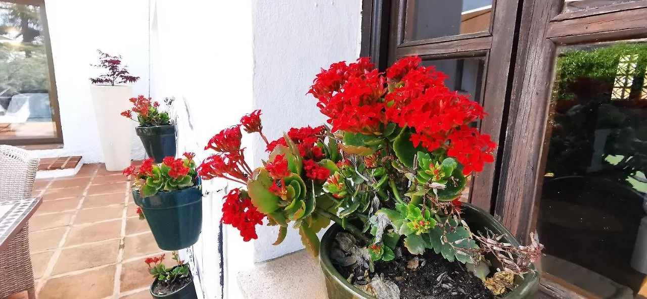 ***  Roca Verde, Boutique Bed & Breakfast (Adults Only) Alhaurin de la Torre Spain